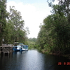 Tanjung Puting National Park, Kalimantan タンジュンプティン国立公園