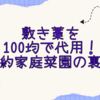 敷き藁を100均で代用！節約家庭菜園の裏技