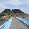 ソメイヨシノ、ようやく開花　　　～湖山池・青島（鳥取市）～