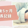【生後5ヶ月】ずり這いを始める＆おもちゃに興味を持つようになる《成長記録》