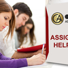 Assignment Help Online- An One-Stop Platform for Troubles Students