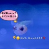 ベタ稚魚生後１０日目、薬浴5日目