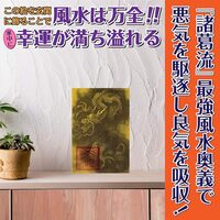 玄関を守り、金運を引き寄せる「臥龍風水誘気図」レビュー