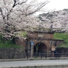 京都　インクライン南禅寺水路閣付近サクラ🌸　開花状況速報&清水寺付近観光混雑状況速報🆕👂‼️　