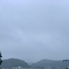 雨続きで手入れ不足の家庭菜園