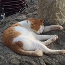 ☆こころびより☆