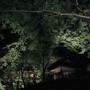 しまじろうPhoto