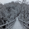雪の花貫渓谷　吊橋と汐見滝