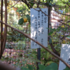 万葉集の世界に飛び込もう―万葉一日一葉（その３１７２）―国分寺万葉庭園（４０）