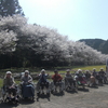 こんにちは！　　上野山にしき園です。