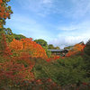 2012年　秋の東福寺散策