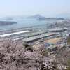 黄金山より