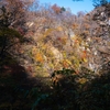 毎年恒例！紅葉撮影企画、今年はライカQ3のみで表現してみます【Leica Q3】