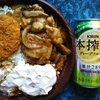 直球・トリプル丼