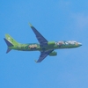 スッキリしない空をバックに撮影