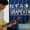 【TAB譜】ねずみ浄土 / GRAPEVINE【弾き語り】