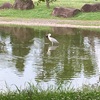 近所の公園で衝撃の光景