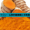 釈迦とウコン：仏教的健康観と尽寿薬の秘密