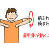 【久々の卓球は要注意！？】卓球を再開したときに故障しないために