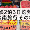 母娘２泊３日灼熱の台南旅行その②安平老街編