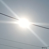 もう汗が！なのであります！