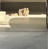 日向ぼっこ