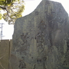 水鶏(クイナ)の叩く梦(夢)の底