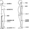 芯の通った生き方