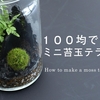 兵庫県で苔テラリウムを作成するための材料を100円ショップで揃える方法について紹介します。