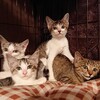脱走そして放置。。。
