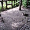 公園でのんびり