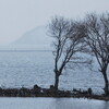 厳寒湖北の風景その２