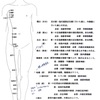 鍼灸の授業記録~20200122~