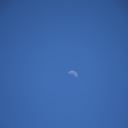 blue and blue