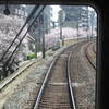 桜の阪急電車・リラックマ号
