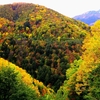 鷹が越える峠として有名な白樺峠