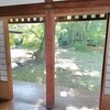 1日2万歩を超す勢いで歩き倒す