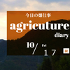 10月17日(月)　今日は朝から雨です