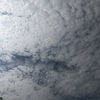 こんな田舎でも令和の米騒動が起きていたようです