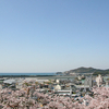 行春にわかの浦にて追付たり