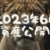 【資産公開】2023年7月の資産状況（前月比+66万）