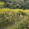 ６．７（日・晴れ）公園ライフ。