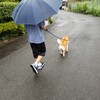 せっかくの土曜日に台風ってどういう事…(￣▽￣;)