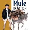 Muleのインストール手順