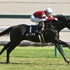 泥臭く頑張る馬5億円馬ドーブネ