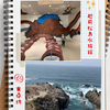 孫と再び車旅　③よろけて落っこちそうな東尋坊〜触れ合いすぎる越前松島水族館へ行ってみた