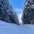 湯沢パークホテル泊×新幹線。子連れスキー旅行に行ってきた