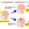 ★お箸を持つ手が固まった！？