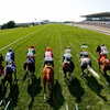 JRA CM～競馬の良さが伝わる宣伝動画