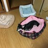 まろにー1083日目